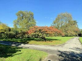 A view of a park in London showing the Autumn Colours photo