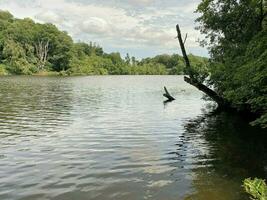 un ver de blake mero lago cerca ellesmere en Shropshire foto