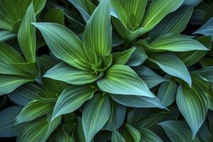 AI generated A plant with lots of large green leaves. AI Generated photo