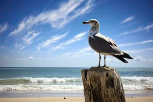 ai generado Gaviota en el playa debajo azul cielo. foto