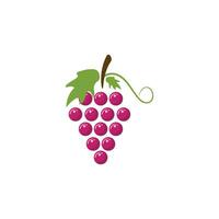 Grapes vector icon illustration design