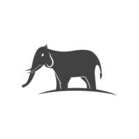 elefante logo modelo icono vector