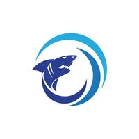 Shark illustration Logo vector