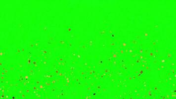 geanimeerd effect van explosie gouden confetti deeltje schitteren Aan wit, groen en zwart achtergrond video