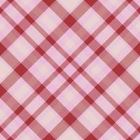 Plaid pattern vector. Check fabric texture. Seamless textile design for clothes, paper print. vector