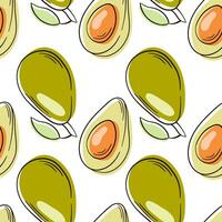 Avocado fruits seamless pattern hand drawn style. Sketch of a whole avocado, sliced and leaves. Avocado line art. vector