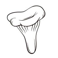 Niscalo mushroom in line art style. Saffron Milk Cap mushroom hand drawn. Vector illustration isoltaed on a white background.