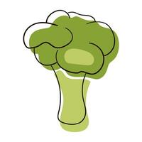 Broccoli line drawing. Flat illustration of Broccoli vector isolated on white background.