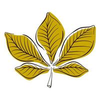 Chestnut autumn leaf icon in line art flat style. Vector illustration isolated on a white background.