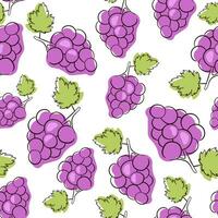 uva sin costura modelo púrpura. manojo de uvas con hojas. vector