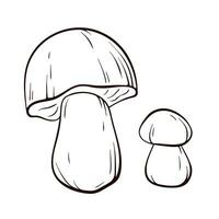 Boletus mushrooms in line art style. Big white mushroom for printing, cookbook, logo, icon. Vector illustration isolated on a white background.