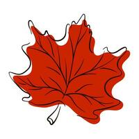 Autumn red maple leaf icon in line art, flat style. Vector illustration isolated on a white background.