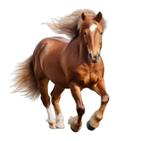 ai generado un marrón caballo es en pie en png