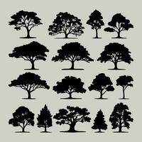 Clásico arboles y bosque siluetas colocar, plano icono diseño vector en blanco antecedentes