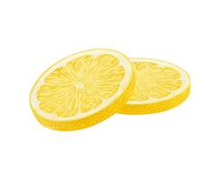 Realistic ripe yellow lemon citrus fruit slices vector