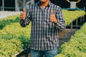 farmer cultivate healthy nutrition organic salad vegetables in hydroponic agribusiness farm. photo