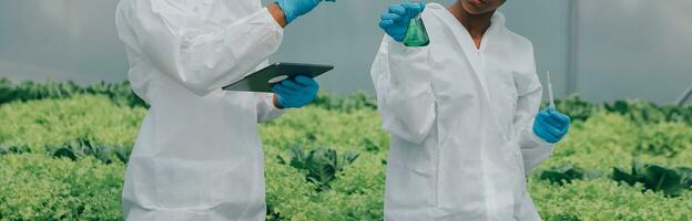 Man and woman use a test tube and a pipette while working in a greenhouse. photo
