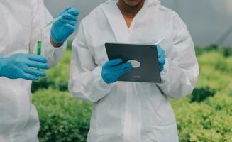 Man and woman use a test tube and a pipette while working in a greenhouse. photo