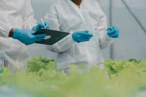 Man and woman use a test tube and a pipette while working in a greenhouse. photo