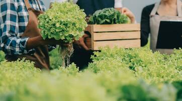 dos asiático agricultores inspeccionando el calidad de orgánico vegetales crecido utilizando hidroponia. foto