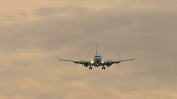 cinematográfico Disparo de un chorro avión que se acerca aterrizaje. pasajero avión de línea moscas en el puesta de sol o amanecer cielo, frente vista, largo Disparo video