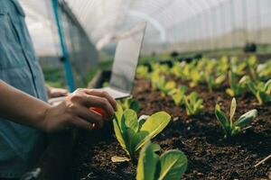 asiático mujer granjero utilizando digital tableta en vegetal jardín a invernadero, negocio agricultura tecnología concepto, calidad inteligente agricultor. foto