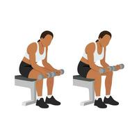 Woman doing seated dumbbell palm up wrist curls or forearm curls exercise. vector