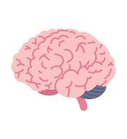 Human brain doodle line vector