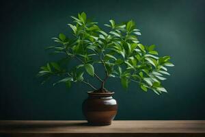 AI generated bonsai tree in a pot on a table photo