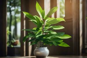 ai generado bonsai árbol en un maceta en un mesa foto