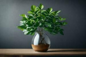 ai generado un en conserva planta en un blanco florero en un mesa foto