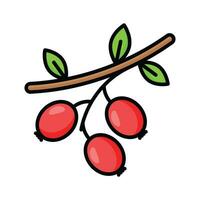 Beautiful and amazing icon of hawthorn in trendy style vector