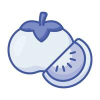 Persimmon fruit icon in modern design style, ready to use vector