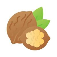 Healthy organic food, whole and peeled walnut vector design