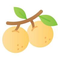 An amazing icon of longan in modern style, ready to use icon vector