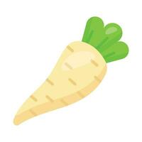 Boost your culinary creations with our Parsnip Icon. Earthy sweetness and versatile flavor for your projects vector