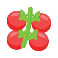 Cherry tomatoes vector design in modern design style, ready to use vector