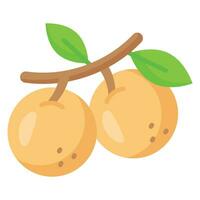 un increíble icono de longan en moderno estilo, Listo a utilizar icono vector