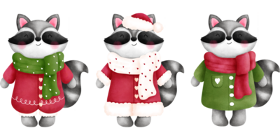 wunderlich Weihnachten Baby Waschbären im bunt Winter Kleider Clip Art Sammlung. png