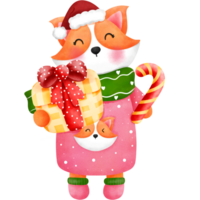 Watercolor christmas baby corgi in colorful clothes and scarf with gift box and candy cane. png