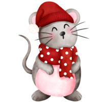 Adorable watercolor christmas baby mouse illustration with red santa hat and scarf. png