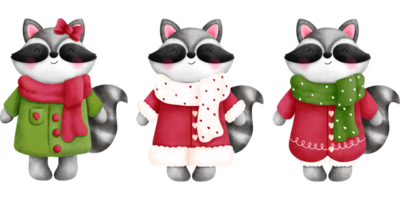 Set of whimsical christmas baby raccoons in colorful winter clothes clipart.Watercolor animals illustrations. png