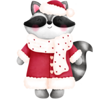 Adorable christmas baby raccoon in red santa clothes.Watercolor animal illustration. png