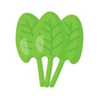 An Amazing icon of sorrel, bunch of sorrel leaves, trendy vector