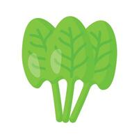 An Amazing icon of sorrel, bunch of sorrel leaves, trendy vector