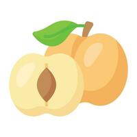 Wild apricot vector design, icon of healthy fruit