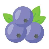 Trendy icon of blueberries, organic chokeberries, berries with leaf, healthy vector design