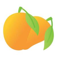 Delicious ripe mangoes with leaf, mango fruit icon design in trendy style vector