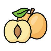 Wild apricot vector design, icon of healthy fruit