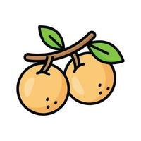 un increíble icono de longan en moderno estilo, Listo a utilizar icono vector